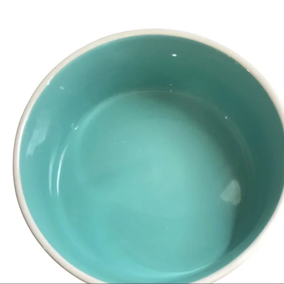 🌈host pick🌈 Large Rae Dunn by Magenta DEVOUR pet bowl 8” - Picture 2 of 2